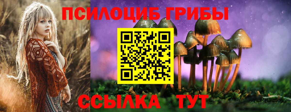 Грязи  Галлюциногенные грибы Magic Shrooms  Вход с VPN 